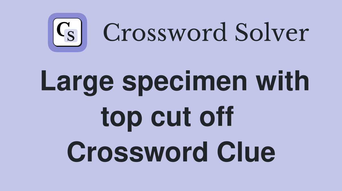 Large specimen with top cut off  Crossword Clue