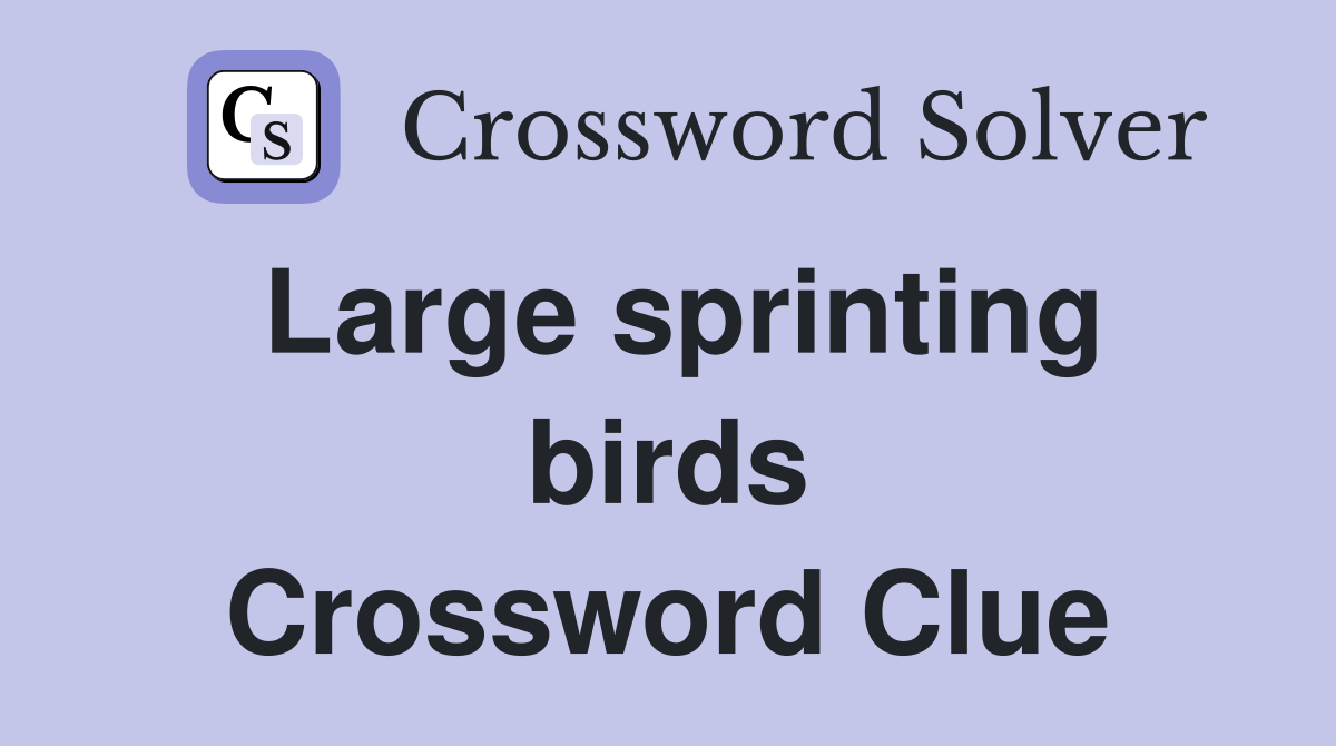 Large sprinting birds Crossword Clue