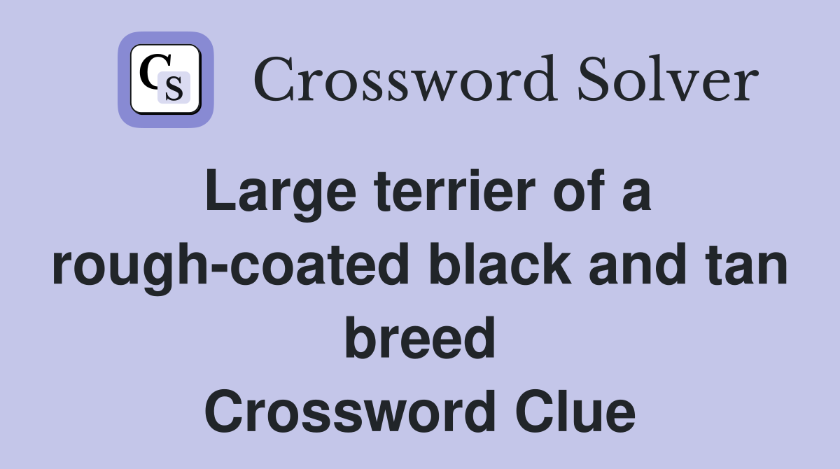 Large terrier of a rough-coated black and tan breed Crossword Clue