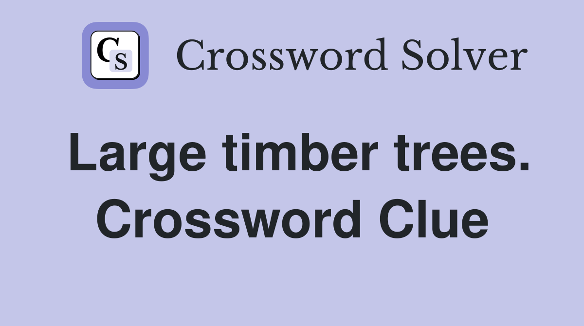 Large timber trees. Crossword Clue