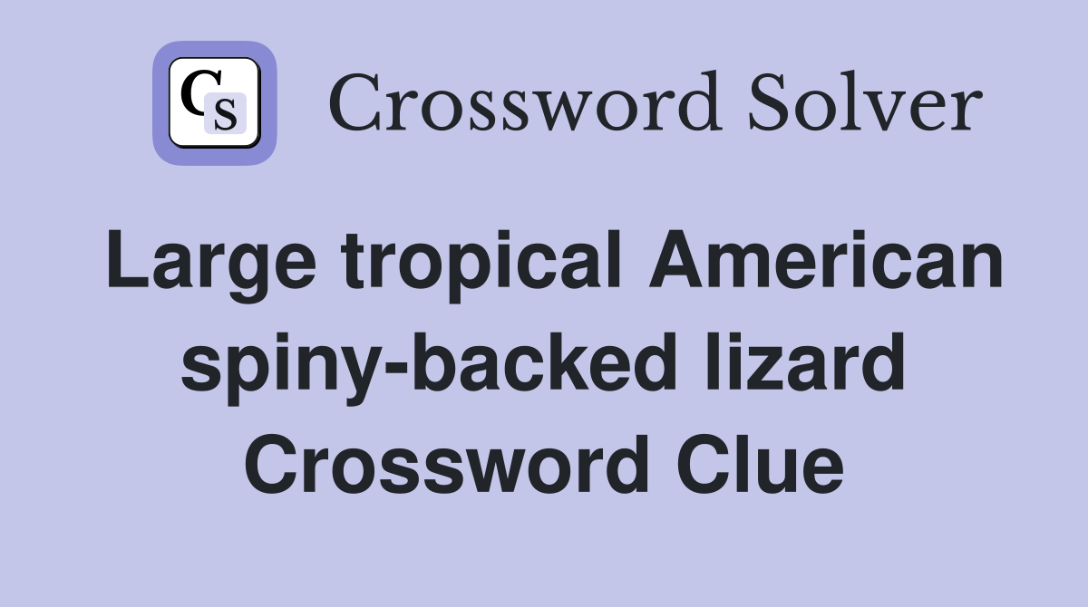 Large tropical American spiny-backed lizard Crossword Clue