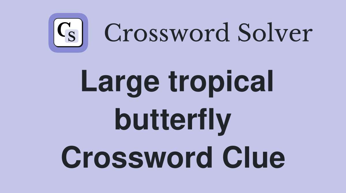 Large tropical butterfly Crossword Clue