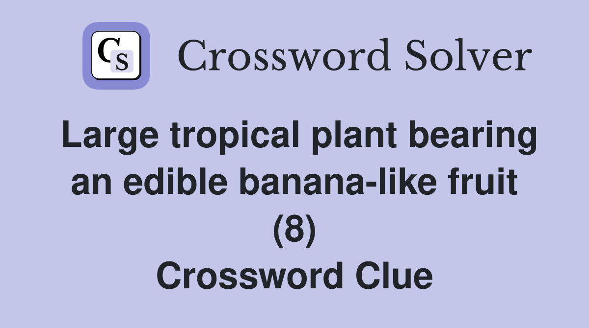 Large tropical plant bearing an edible banana-like fruit (8) Crossword Clue