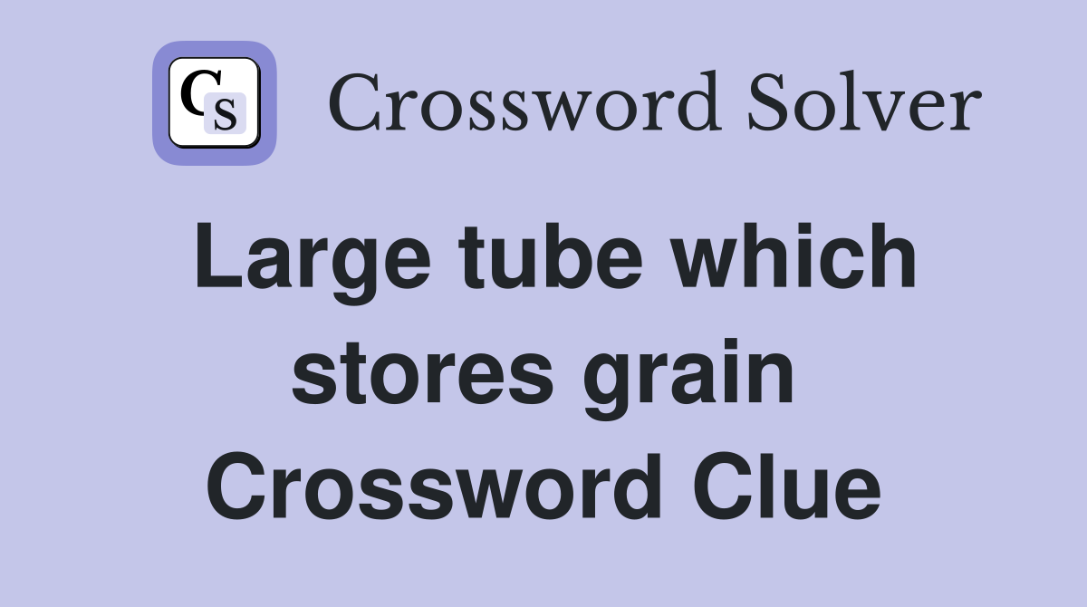 Large tube which stores grain Crossword Clue