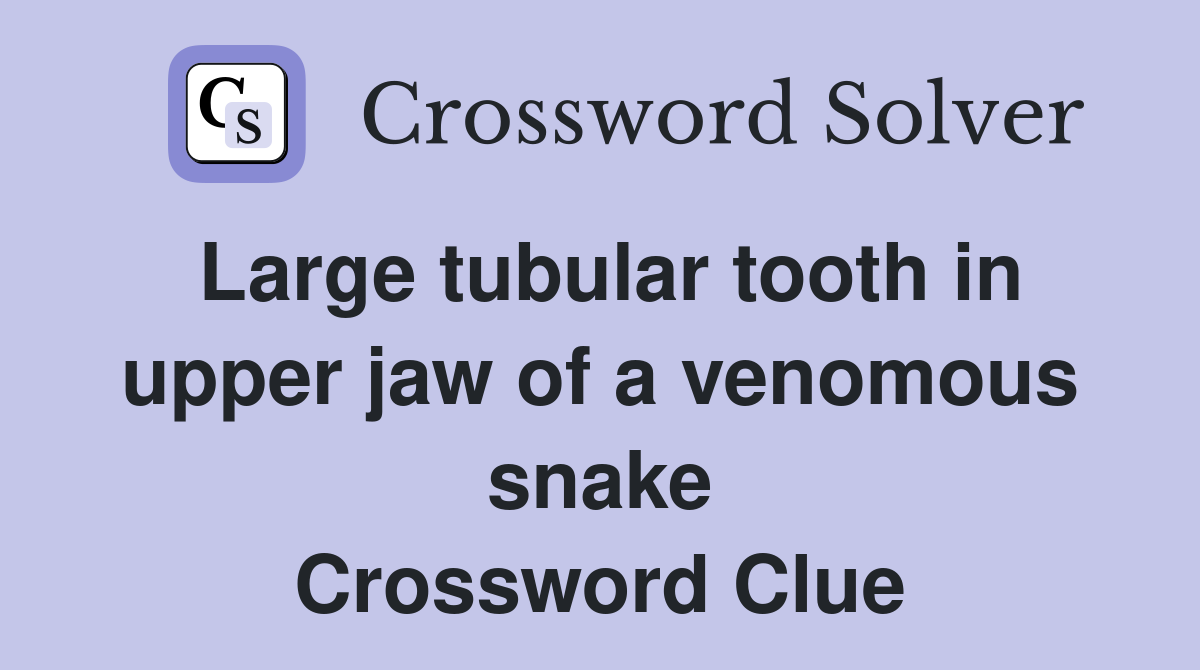 Large tubular tooth in upper jaw of a venomous snake Crossword Clue
