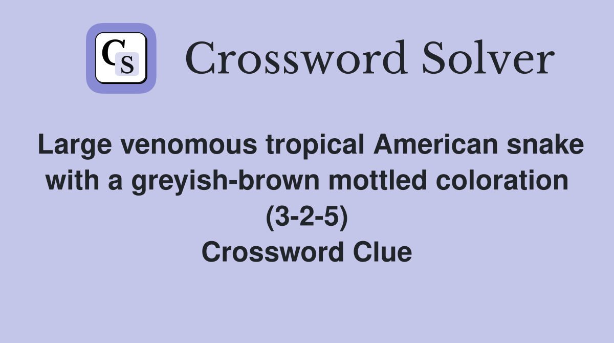 Large venomous tropical American snake with a greyish-brown mottled coloration (3-2-5) Crossword Clue