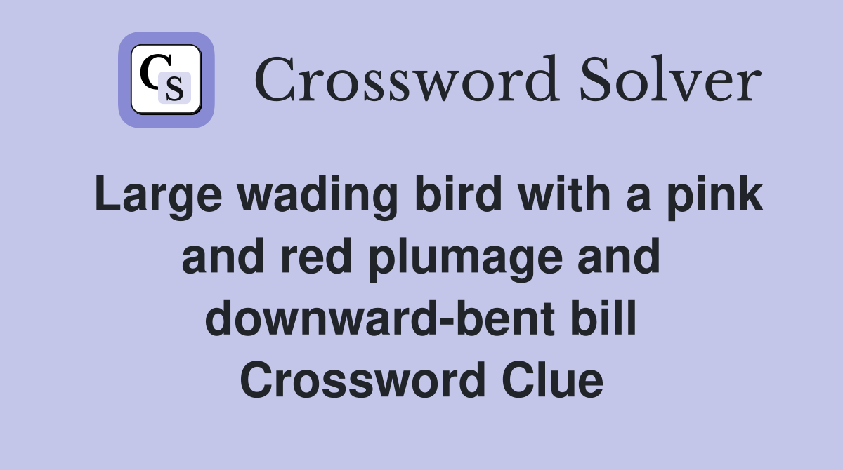 Large wading bird with a pink and red plumage and downward-bent bill Crossword Clue