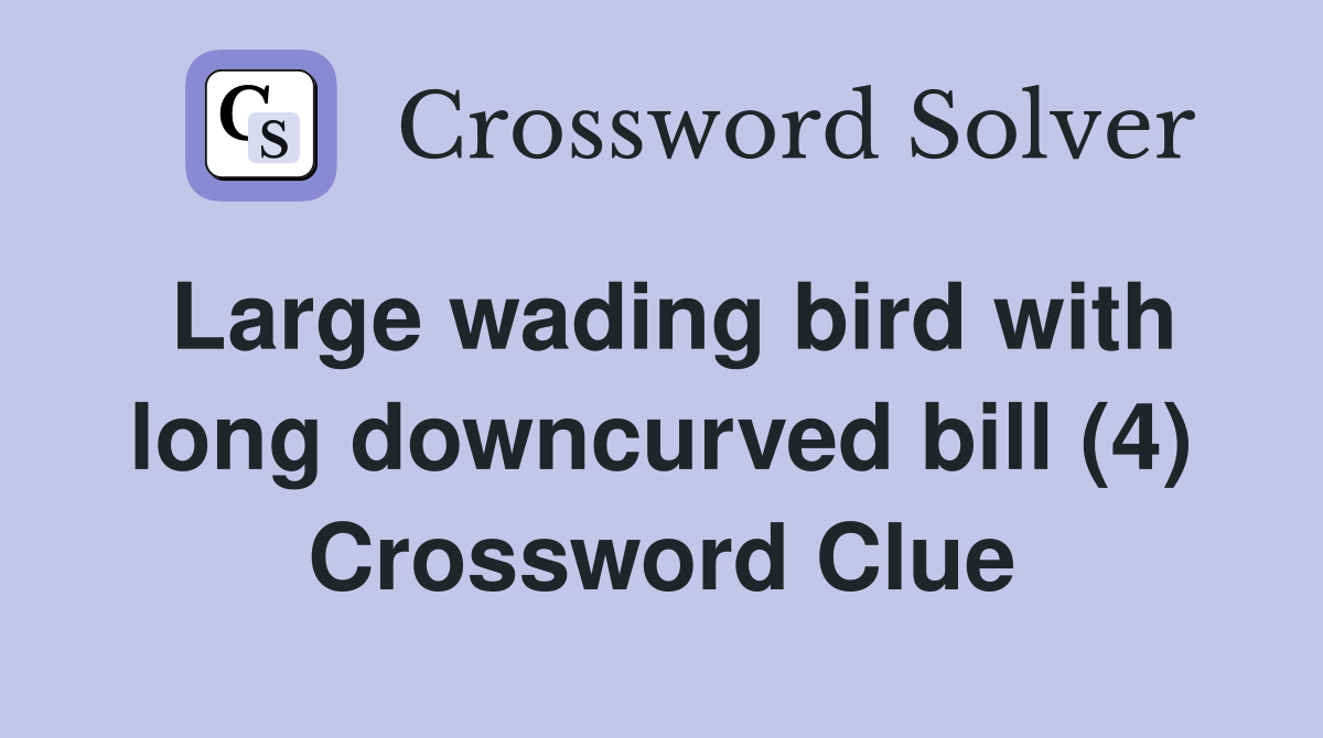 Large wading bird with long downcurved bill (4) Crossword Clue