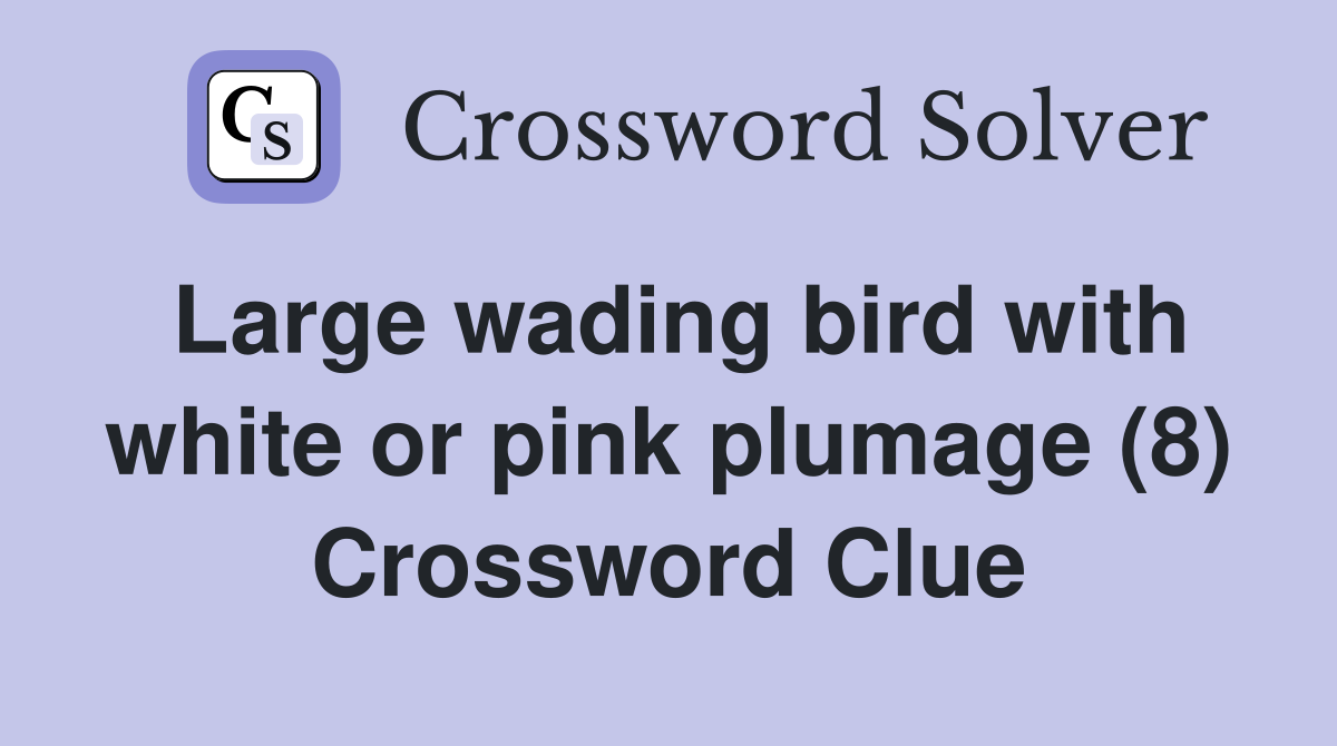 Large wading bird with white or pink plumage (8) Crossword Clue