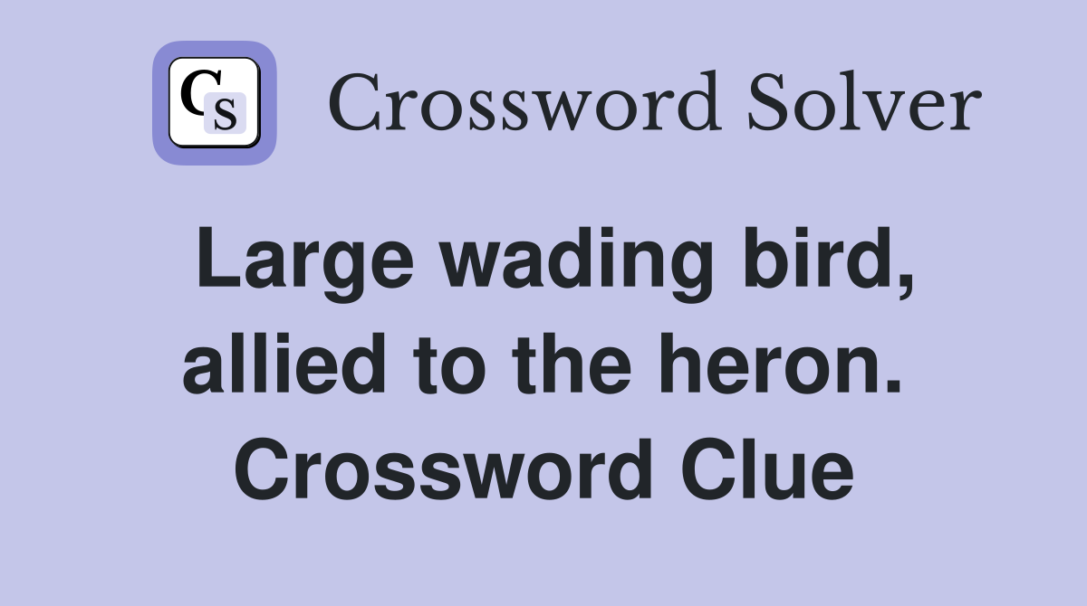Large wading bird, allied to the heron. Crossword Clue