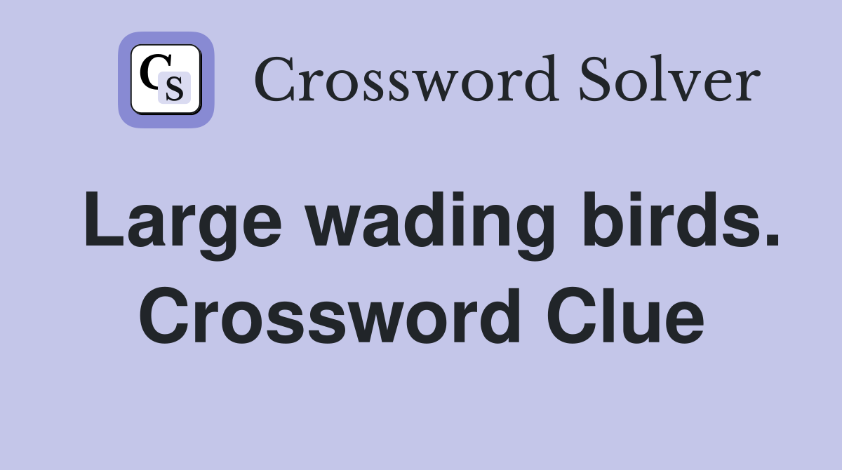 Large wading birds. Crossword Clue