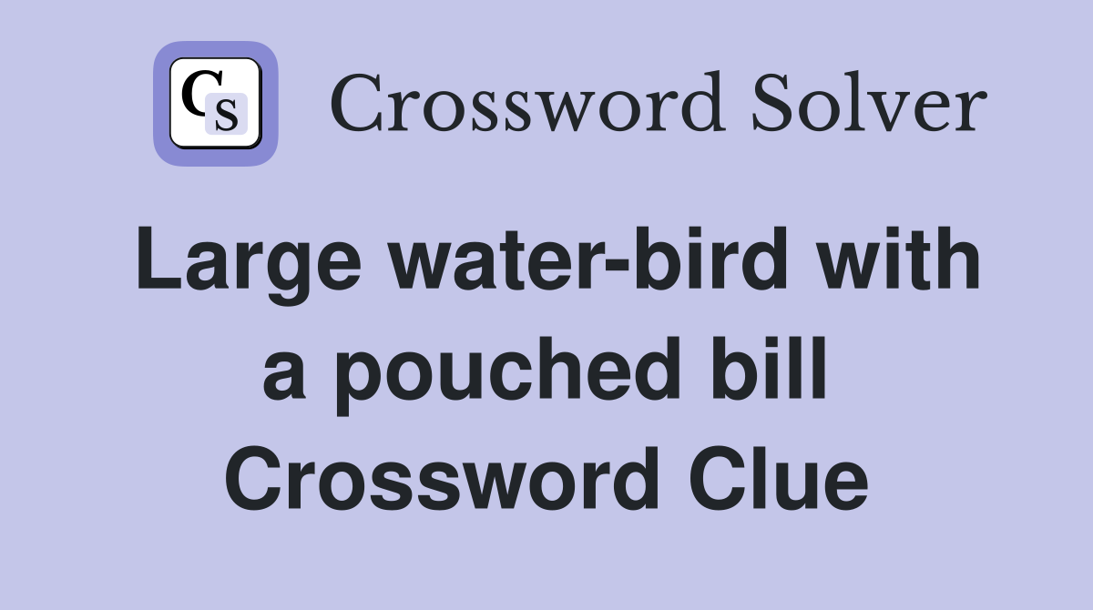 Large water-bird with a pouched bill Crossword Clue