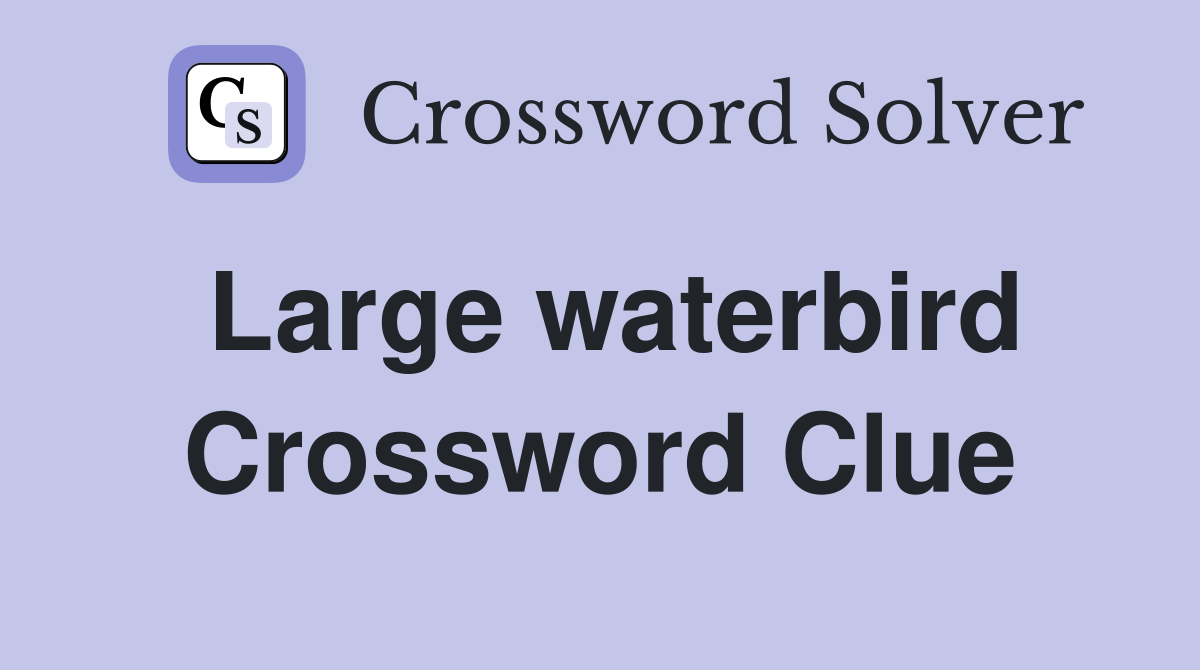 Large waterbird Crossword Clue