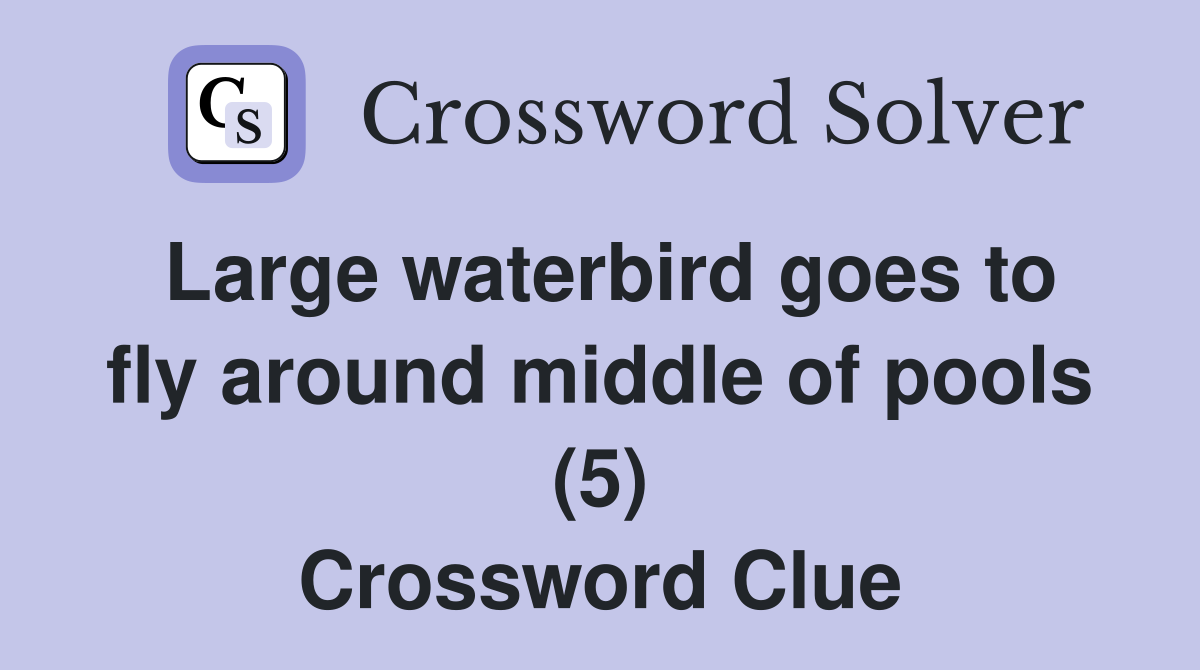 Large waterbird goes to fly around middle of pools (5) Crossword Clue