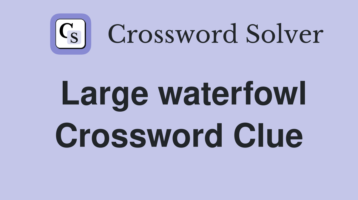 Large waterfowl Crossword Clue