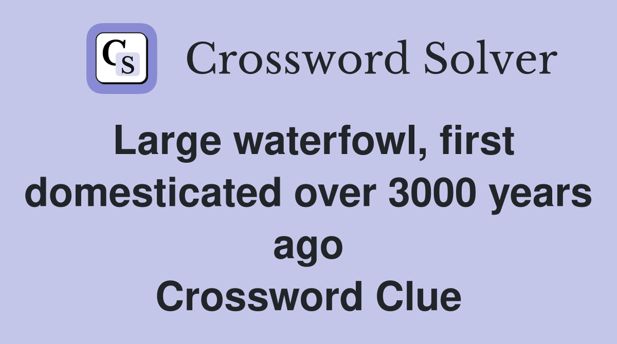Large waterfowl, first domesticated over 3000 years ago Crossword Clue