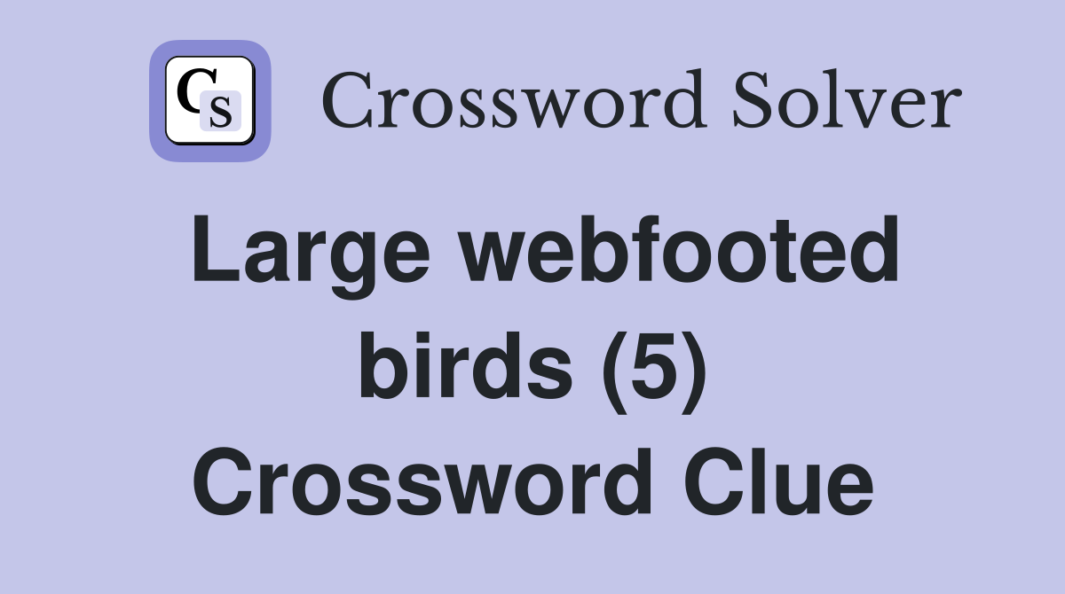 Large webfooted birds (5) Crossword Clue