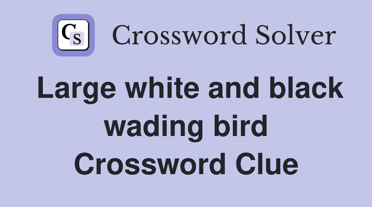 Large white and black wading bird Crossword Clue