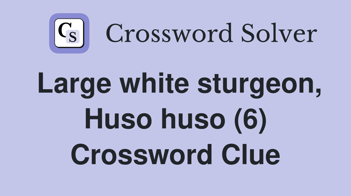 Large white sturgeon, Huso huso (6) Crossword Clue