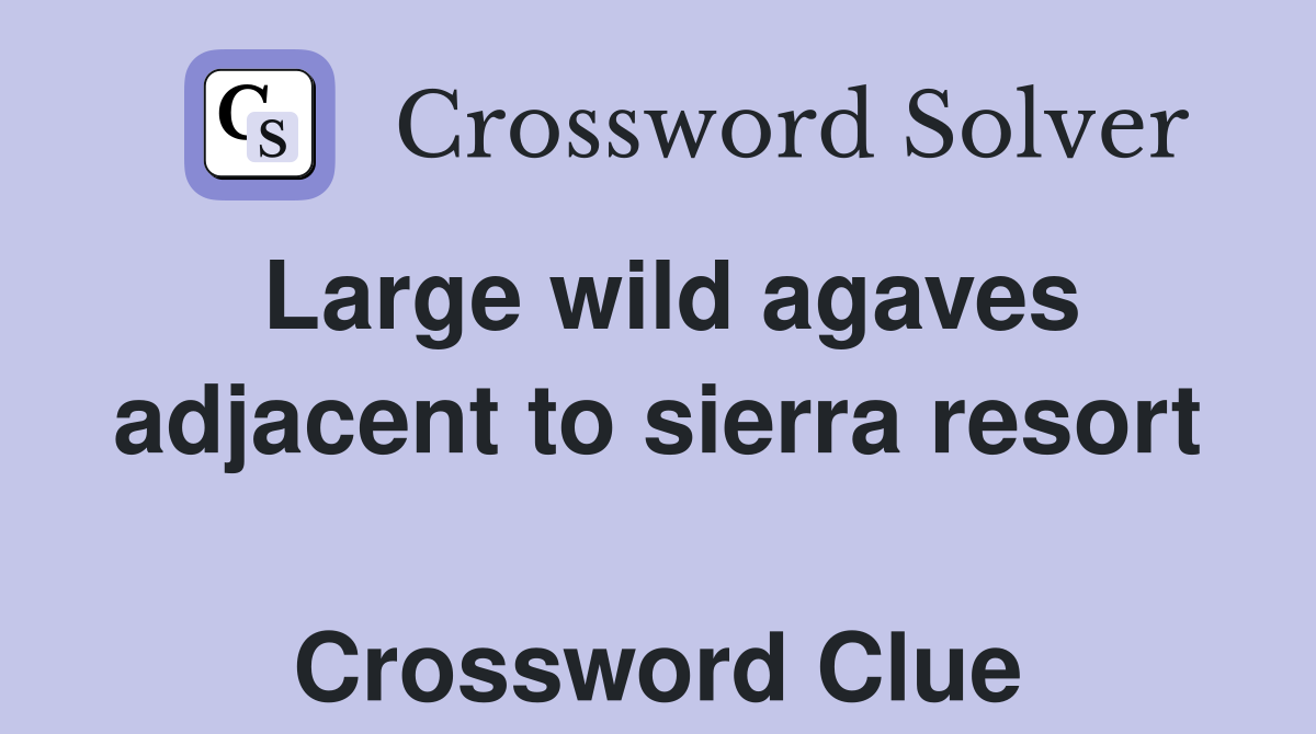 Large wild agaves adjacent to sierra resort  Crossword Clue