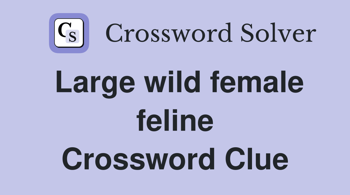 Large wild female feline Crossword Clue