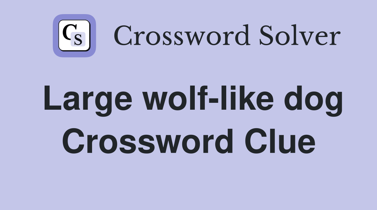 Large wolf-like dog Crossword Clue