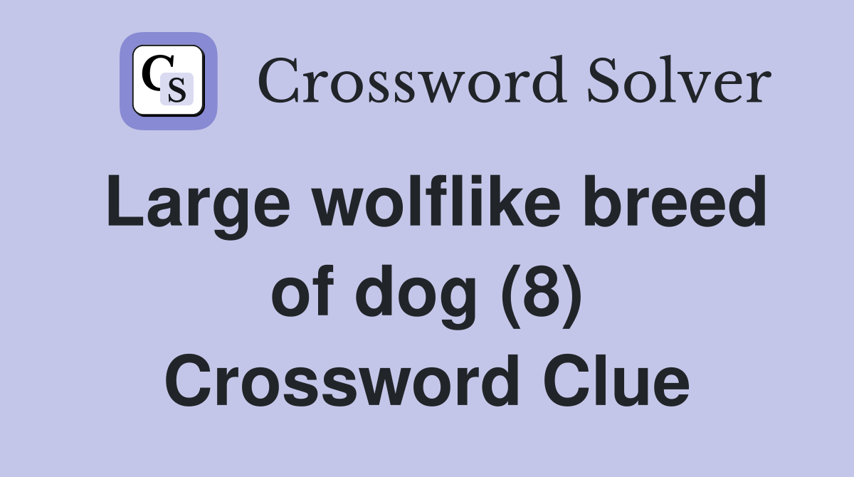 Large wolflike breed of dog (8) Crossword Clue
