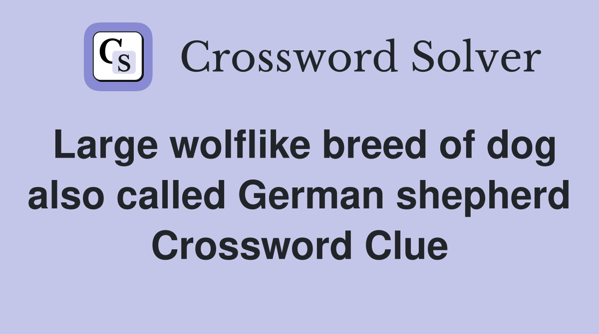 Large wolflike breed of dog also called German shepherd Crossword Clue