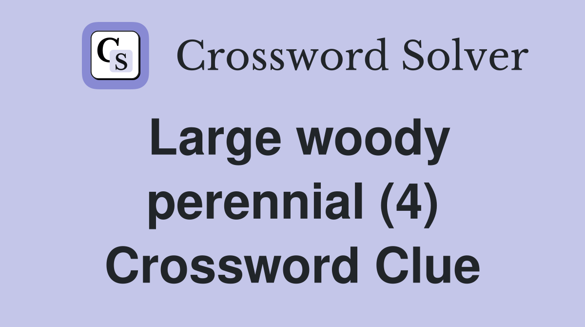 Large woody perennial (4) Crossword Clue
