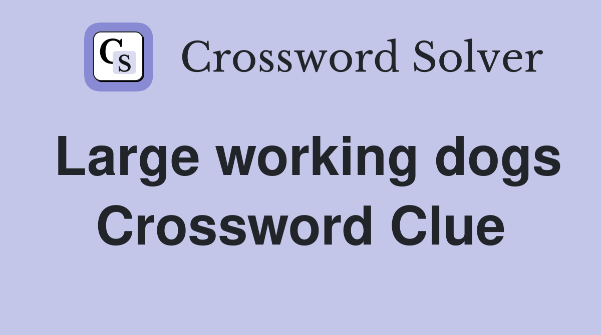 Large working dogs Crossword Clue