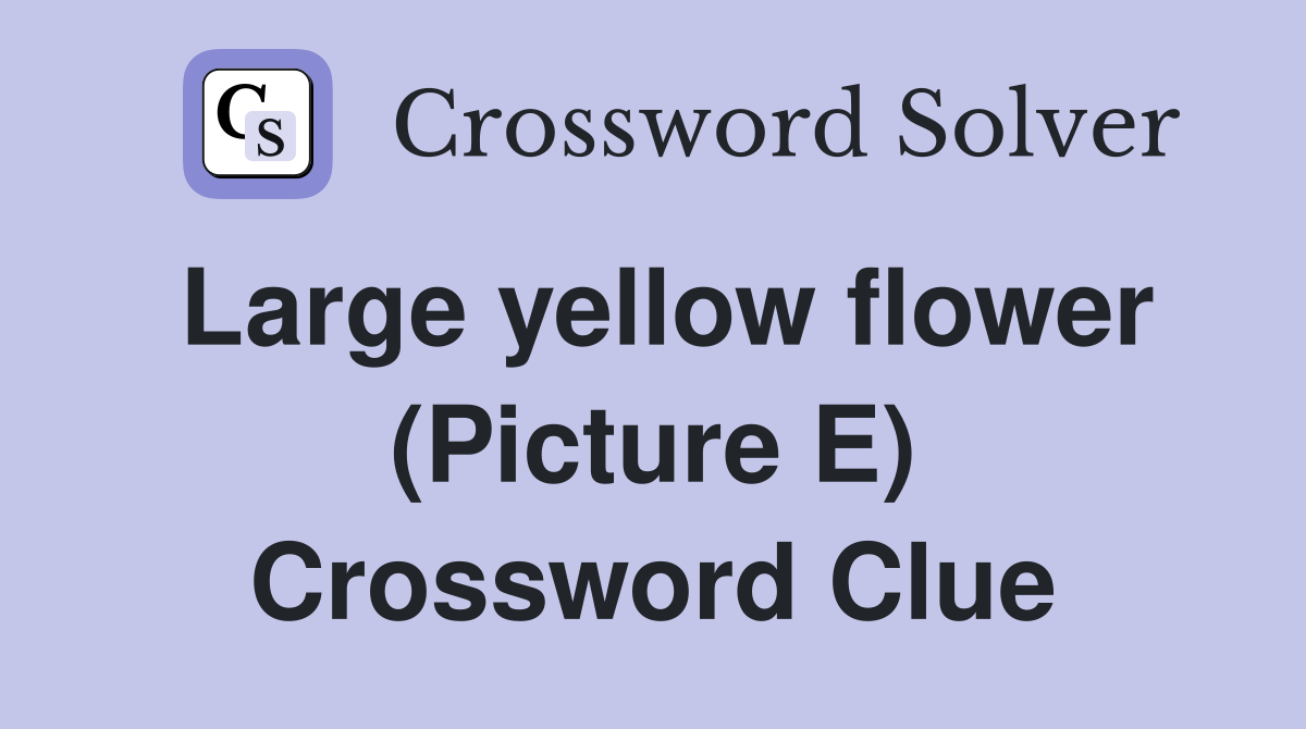 Large yellow flower (Picture E) Crossword Clue