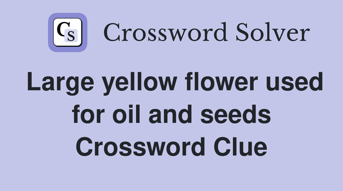 Large yellow flower used for oil and seeds Crossword Clue