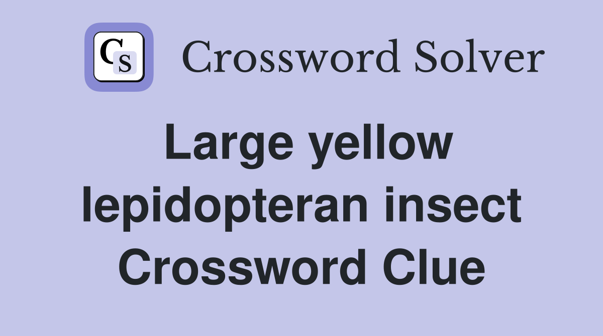 Large yellow lepidopteran insect Crossword Clue