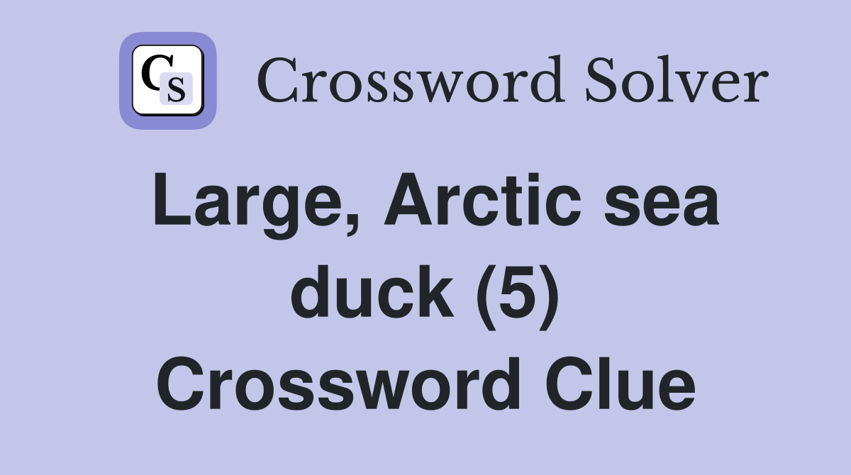 Large, Arctic sea duck (5) Crossword Clue