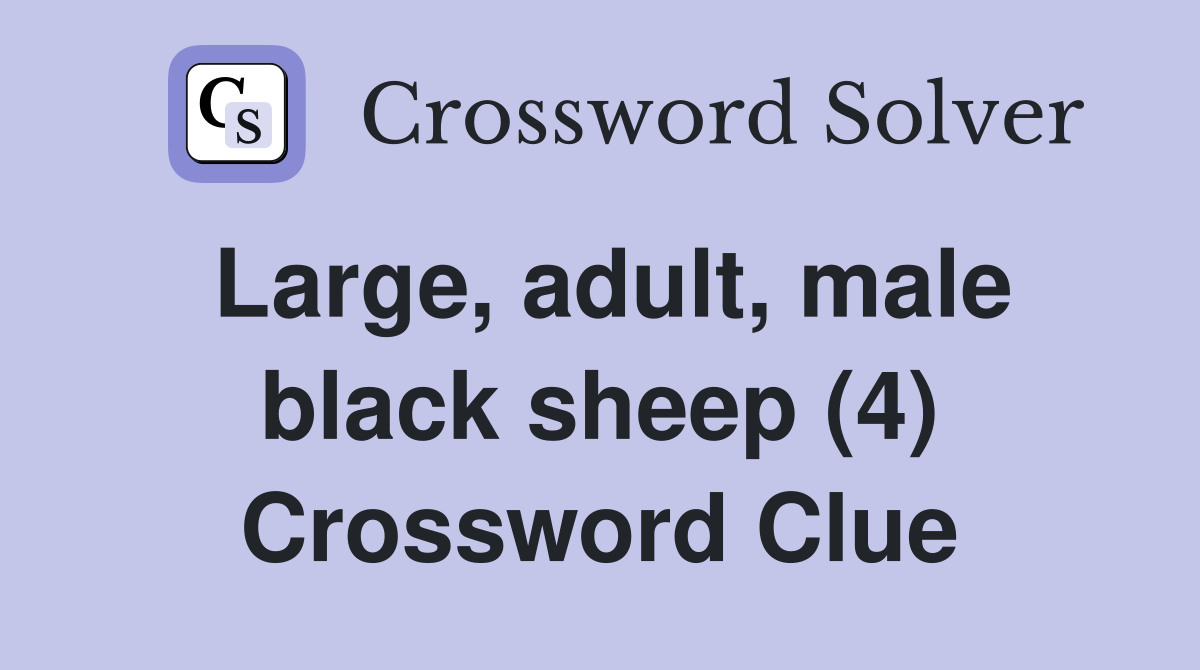 Large, adult, male black sheep (4) Crossword Clue