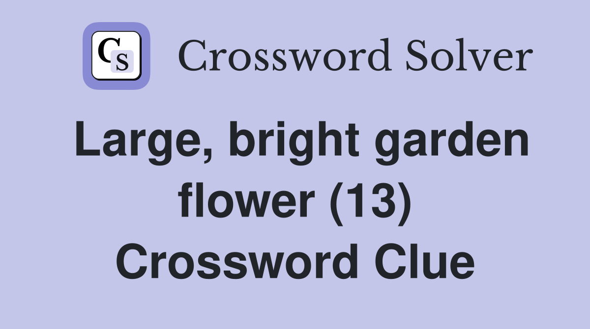Large, bright garden flower (13) Crossword Clue