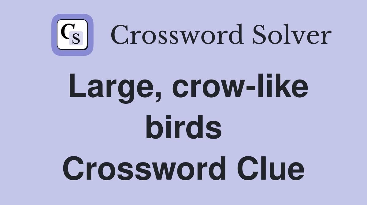 Large, crow-like birds Crossword Clue