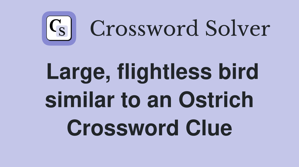 Large, flightless bird similar to an Ostrich Crossword Clue