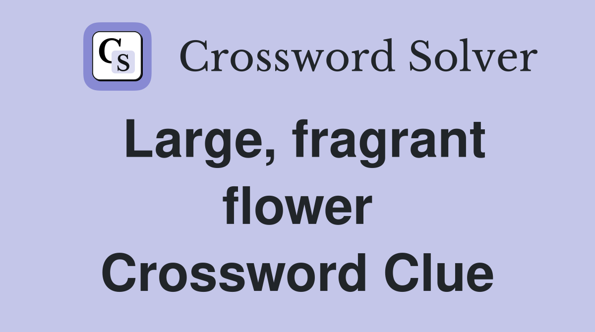 Large, fragrant flower Crossword Clue
