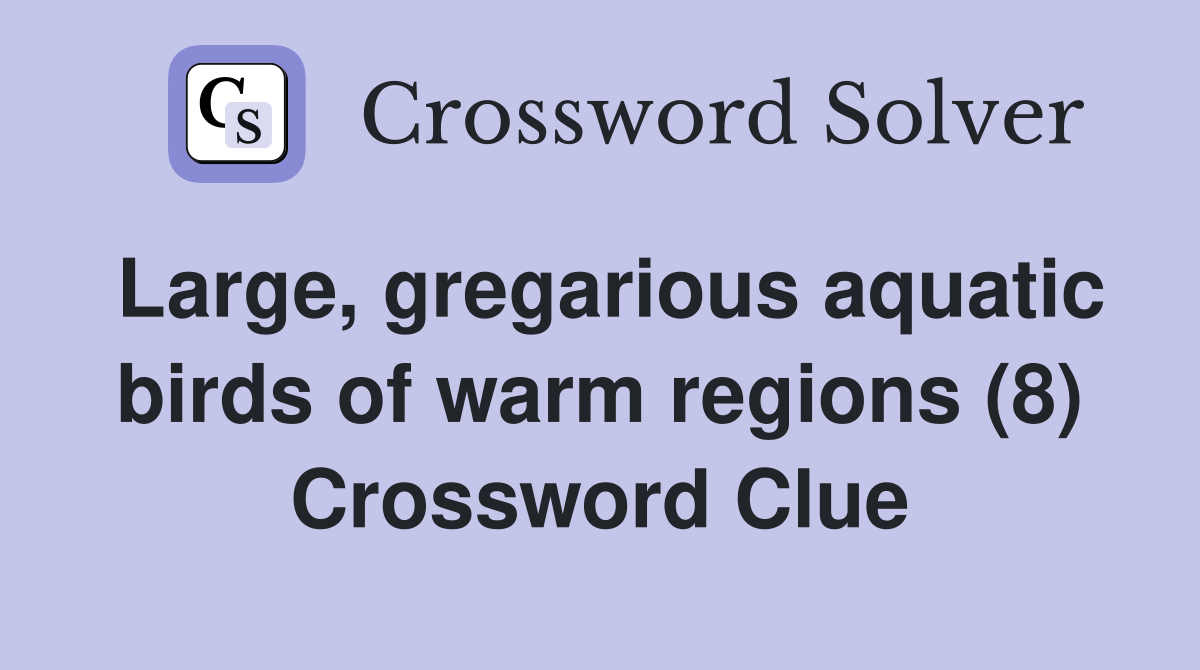 Large, gregarious aquatic birds of warm regions (8) Crossword Clue