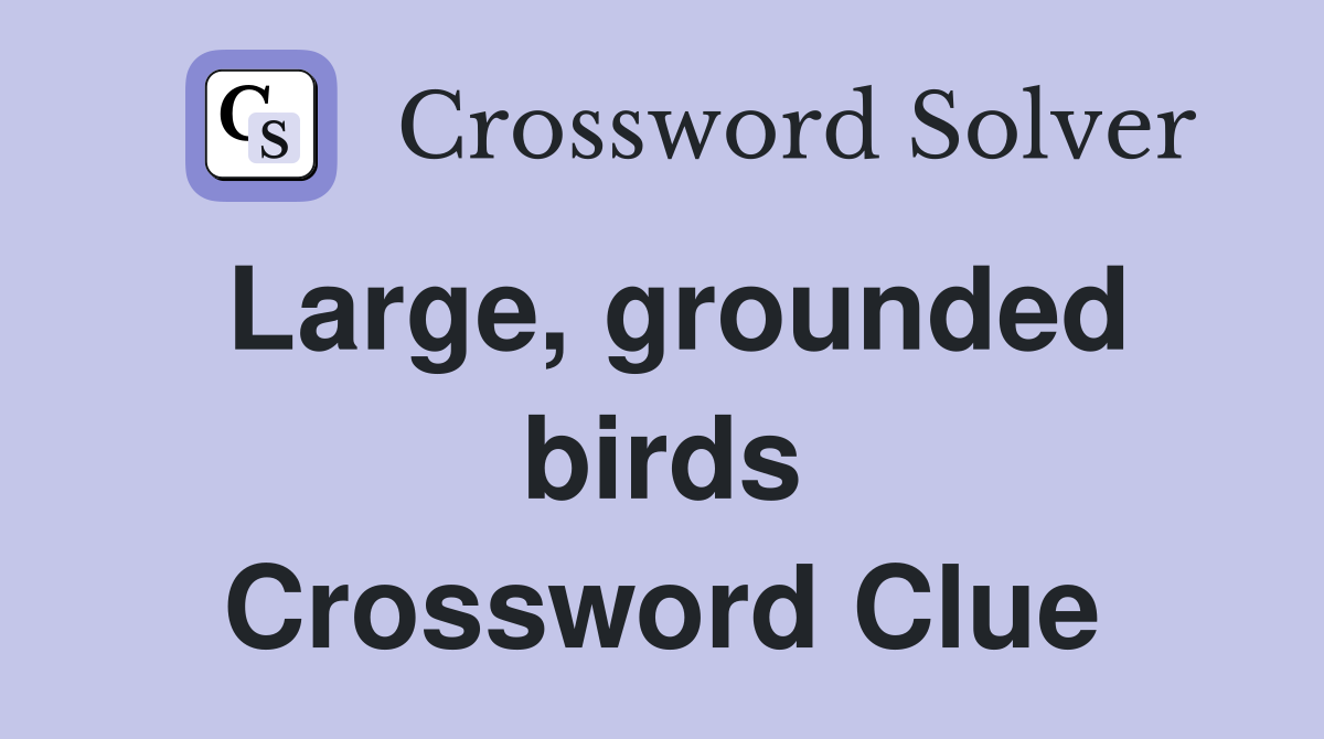 Large, grounded birds Crossword Clue