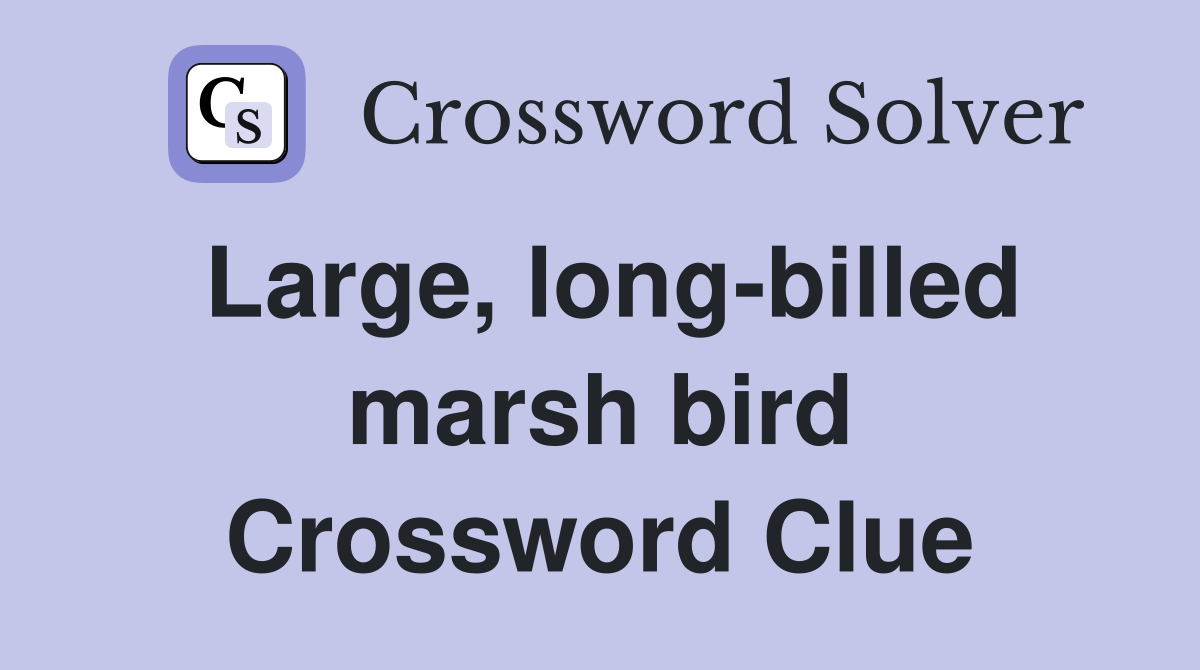 Large, long-billed marsh bird Crossword Clue
