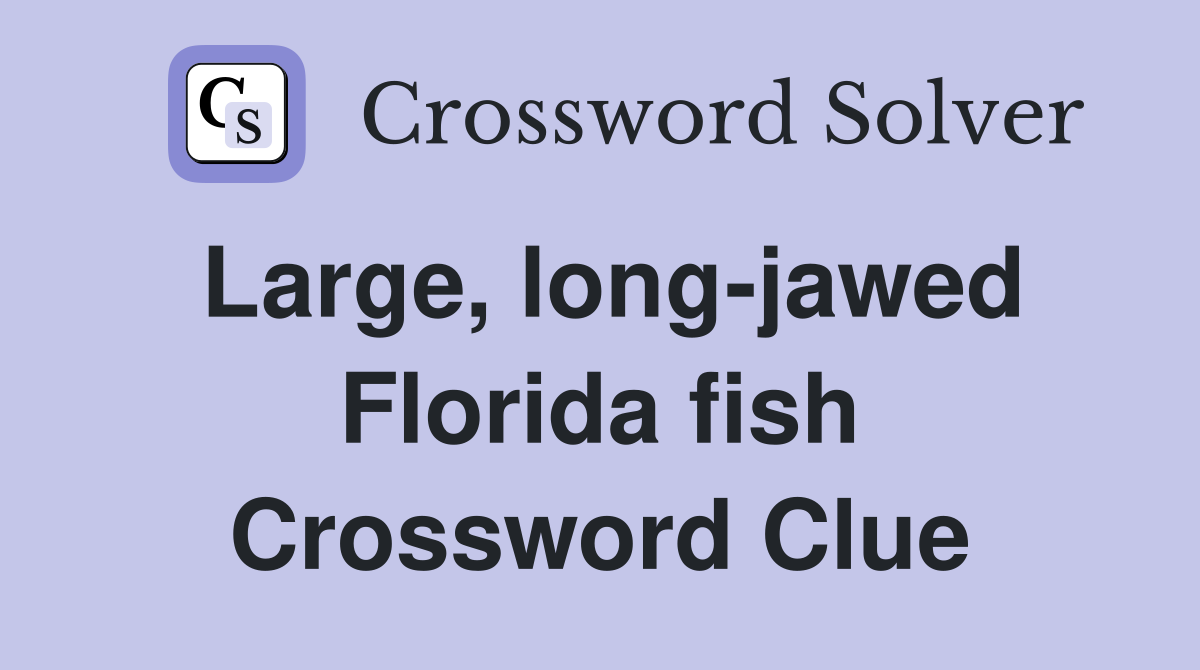 Large, long-jawed Florida fish Crossword Clue