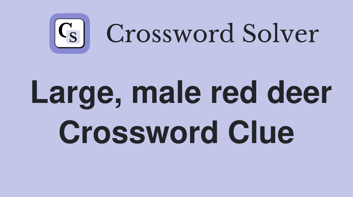 Large, male red deer Crossword Clue
