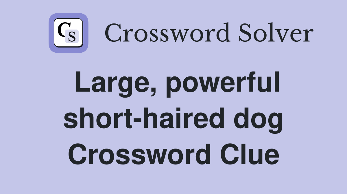 Large, powerful short-haired dog Crossword Clue