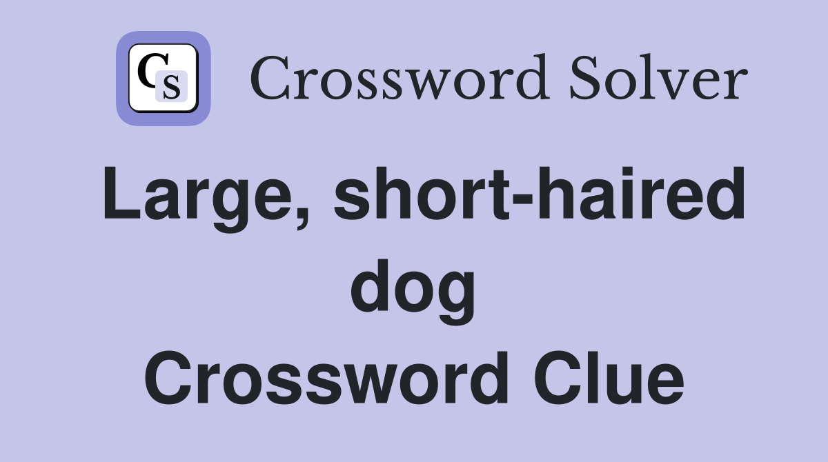 Large, short-haired dog Crossword Clue