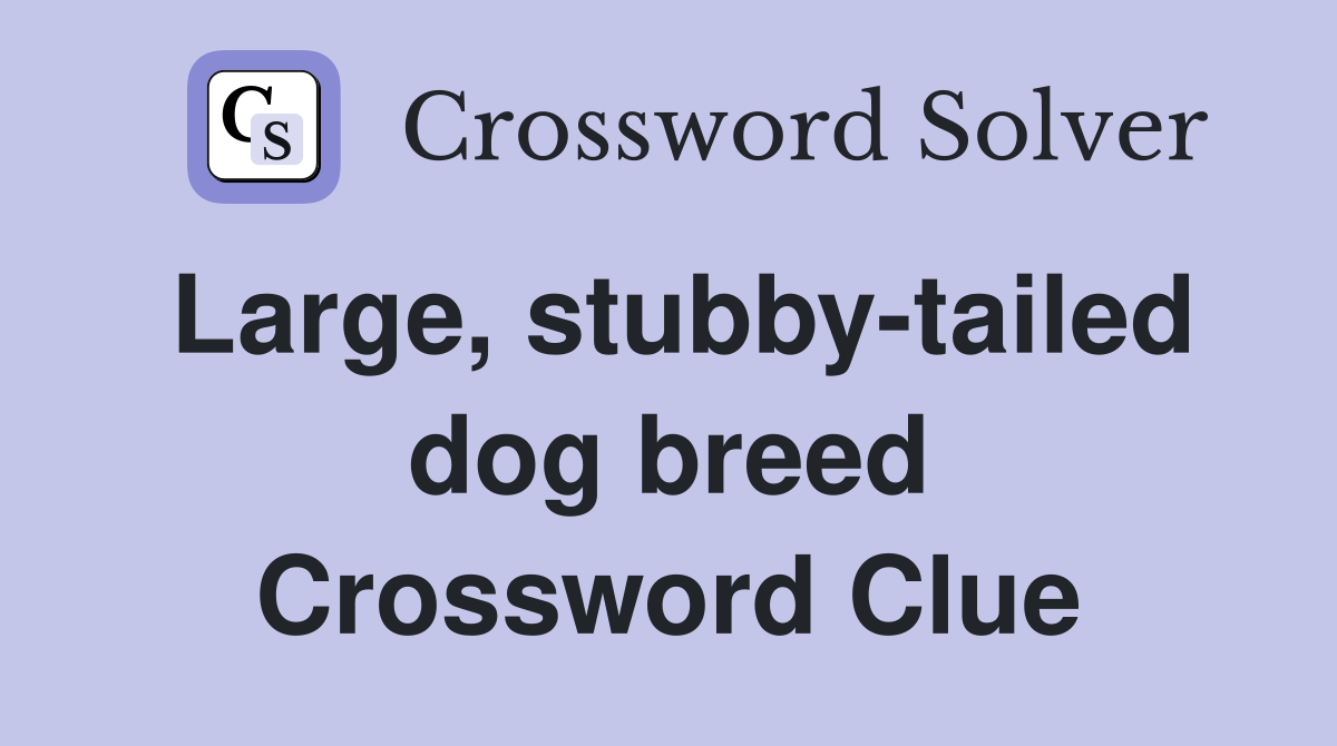 Large, stubby-tailed dog breed Crossword Clue