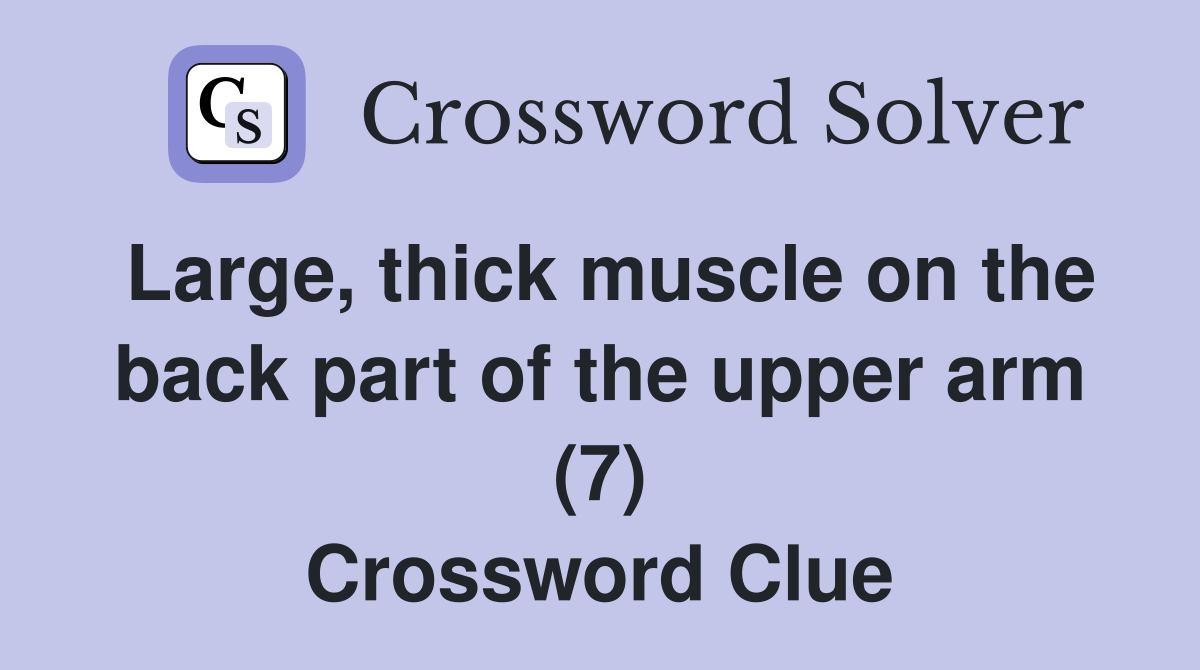 Large, thick muscle on the back part of the upper arm (7) Crossword Clue