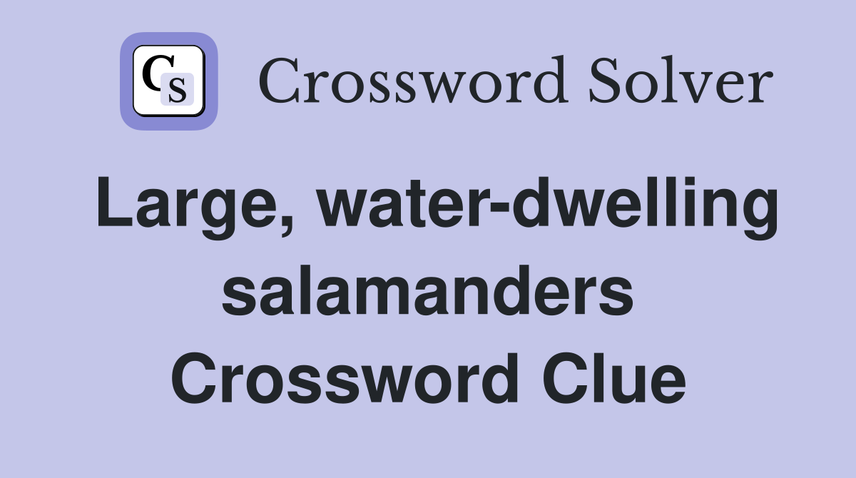 Large, water-dwelling salamanders Crossword Clue
