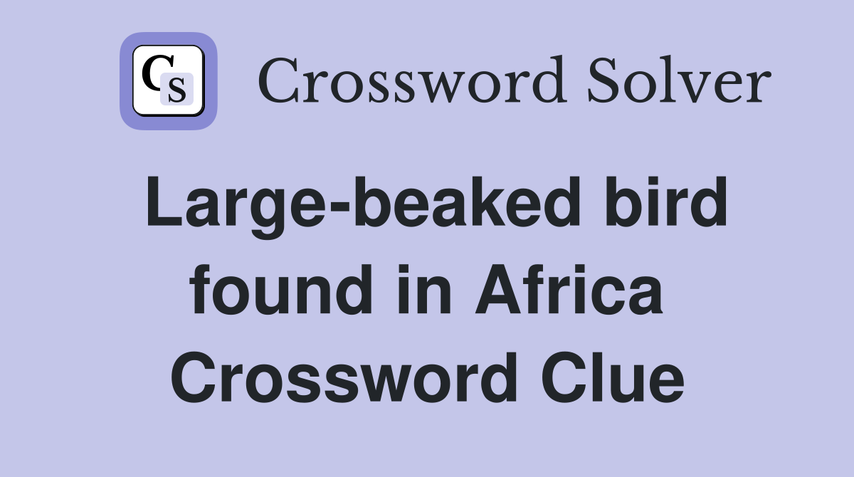 Large-beaked bird found in Africa Crossword Clue